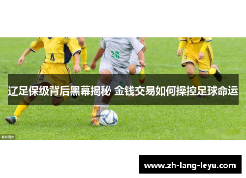 辽足保级背后黑幕揭秘 金钱交易如何操控足球命运