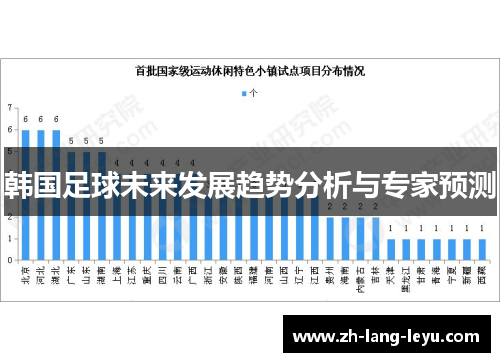 韩国足球未来发展趋势分析与专家预测